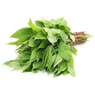 Feuille de manioc