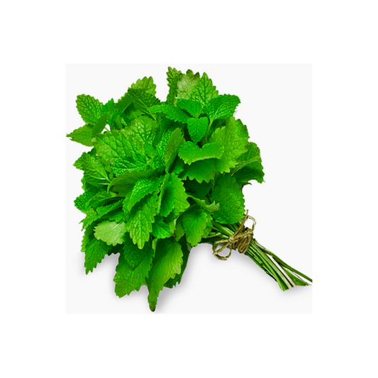 Menthe botte