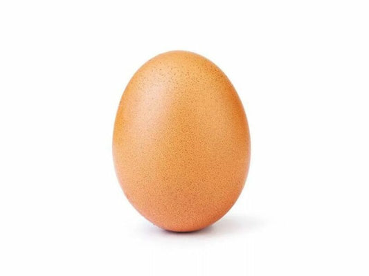 Œuf  (6 Œufs)