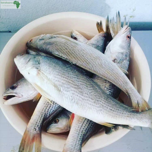 Poisson Sosso  ( kg)