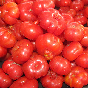 Tomate Africain (tas)